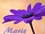 Marie signature 2-for resizing final