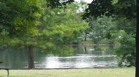 20140728_112726_resized_2