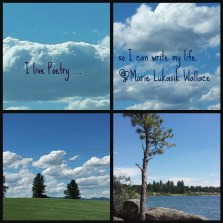 Ribbet collage-I live poetry