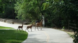 wpid-20140728_104128