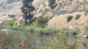 20140816_161148_resized