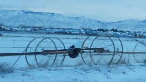 1560774_10152951004361037_7093722779285139669_n