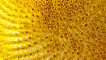 20150820_114206_resized